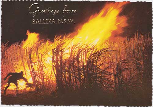 0007 Ballina Australia Postcard