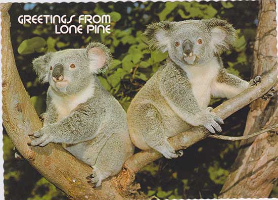 0096_Australia_LonePine